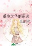 重生之华丽逆袭