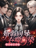 娇弱向导吞噬污染，哨兵疯狂求贴